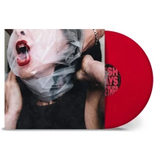 Vinyl FLESH STAYS TOGETHER