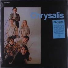 Vinyl DEFINITION'