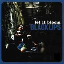 Vinyl LET IT BLOOM