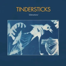 Tindersticks, CD DISTRACTIONS