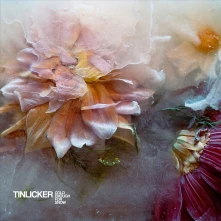 CD Tinlicker - Cold Enough For Snow Mountain
