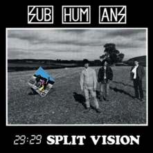Vinyl 29:29 SPLIT VISION