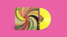 Vinyl WHO IS THE SKY?