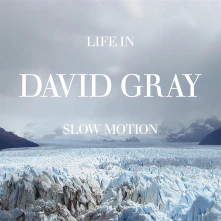 Vinyl LIFE IN SLOW MOTION