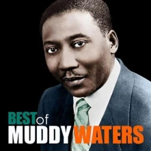 Muddy Waters, Vinyl THE BEST OF MUDDY WATERS