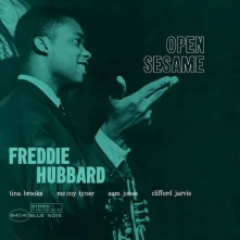 Vinyl OPEN SESAME