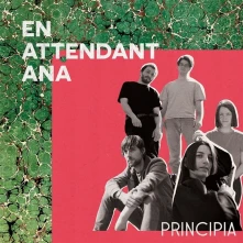 CD EN ATTENDANT ANA - PRINCIPIA