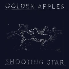 Vinyl SHOOTING STAR