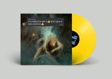 Vinyl I'M TOTALLY FINE WITH IT DON'T GIVE A FUCK ANYMORE