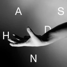 CD BIRD, WALLIS - HANDS