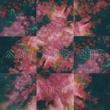 Vinyl PRISM