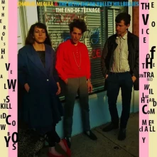 Vinyl END OF TEENAGE