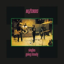 Buzzcocks, CD SINGLES GOING STEADY