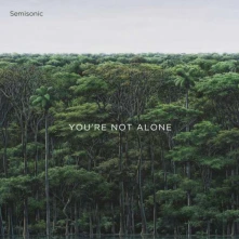 CD YOU'RE NOT ALONE