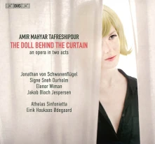 CD SCHWANENFLUGEL, JONATHAN - DOLL BEHIND THE CURTAIN