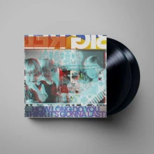 Vinyl HOW LONG DO YOU THINK IT'S GONNA LAST?