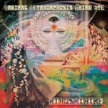 Vinyl MAGICAL METAMORPHOSIS THIRD EYE