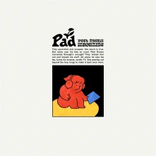 Peel Dream Magazine, CD PEEL DREAM MAGAZINE - PAD