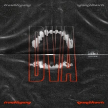 Troublegang, CD DVA