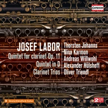 CD JOHANNS, THORSTEN / JURI - JOSEF LABOR: QUINTET FOR CLARINET OP. 11 - QUINTET IN D - CLARINET TRIOS