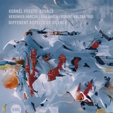 CD FEKETE-KOVACS, KORNEL - DIFFERENT ASPECTS OF SILENCE