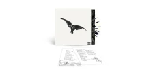 Conan Gray, Vinyl GRAY CONAN - Kid Krow, Decomposed