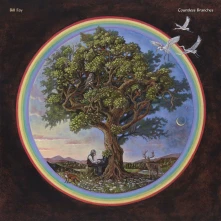 Bill Fay, Vinyl COUNTLESS BRANCHES