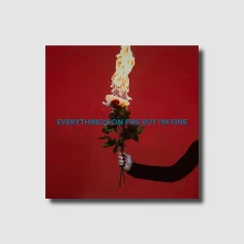 CD EVERYTHING'S ON FIRE B...