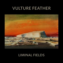 Vinyl LIMINAL FIELDS (BONE)