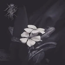 CD EPHEMERAL