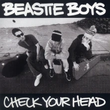 Vinyl CHECK YOUR HEAD/R