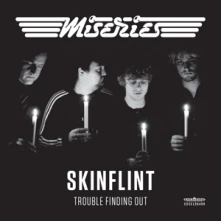 Vinyl SKINFLINT