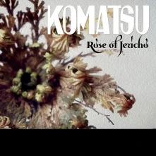 Vinyl ROSE OF JERICHO