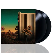 Vinyl UBIQUITY
