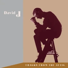 Vinyl TRACKS FROM THE ATTIC