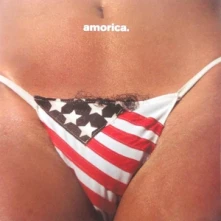 Vinyl AMORICA.