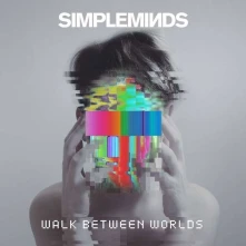 Vinyl Walk Between Worlds