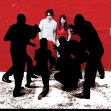 Vinyl White Blood Cells