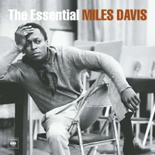 Vinyl The Essential