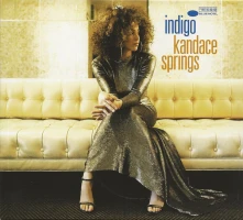 Vinyl Indigo