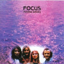 Vinyl Moving Waves