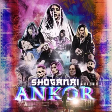 Vinyl Shoganai