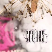 Vinyl CRANES - FUSE
