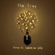 Vinyl How To Save a Life