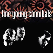 CD FINE YOUNG CANNIBALS