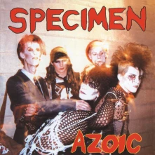 CD AZOIC