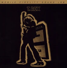 Vinyl Electric Warrior (Numbered) (Special Edition) (Gain 2™ Ultra Analog 45RPM 180g Series)