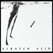 Vinyl SCRATCH ACID & BER...