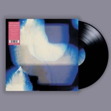 Vinyl Shahabi, Shida - Homes