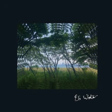 Vinyl ELI WINTER